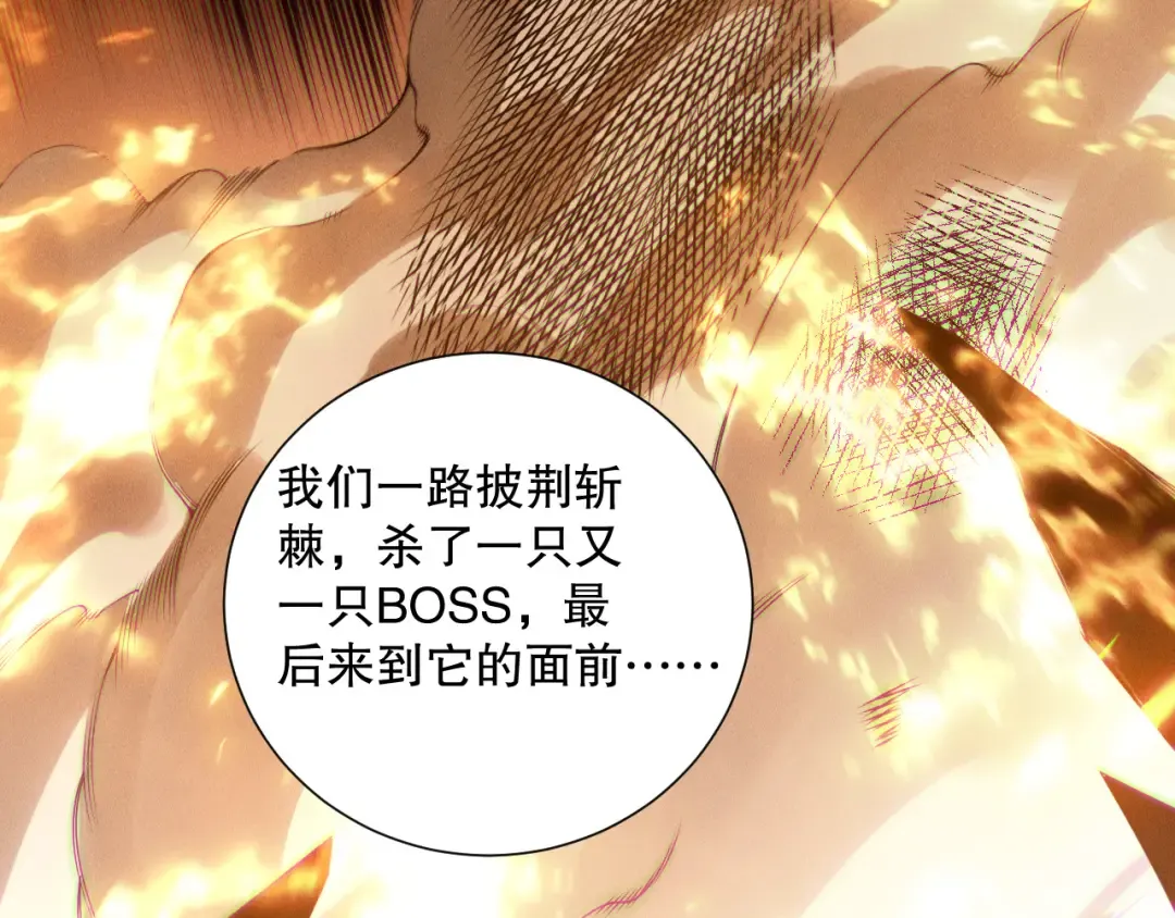 第204页