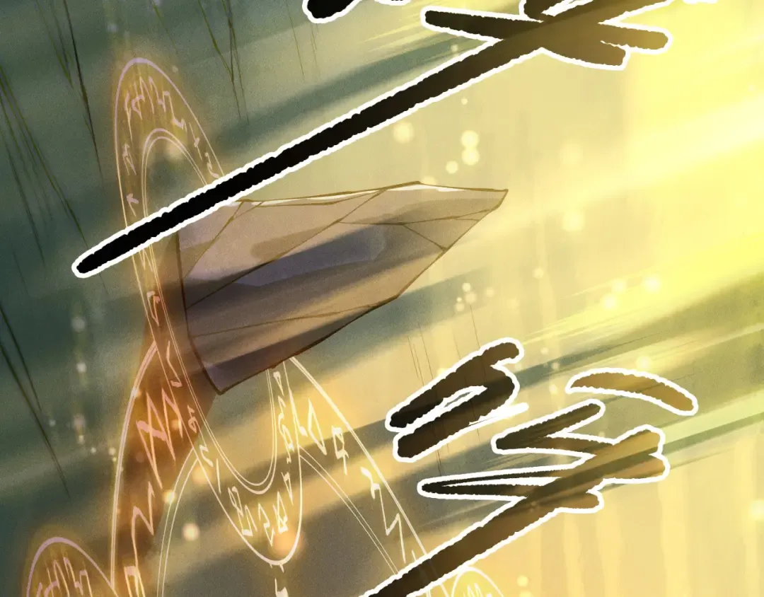 第216页