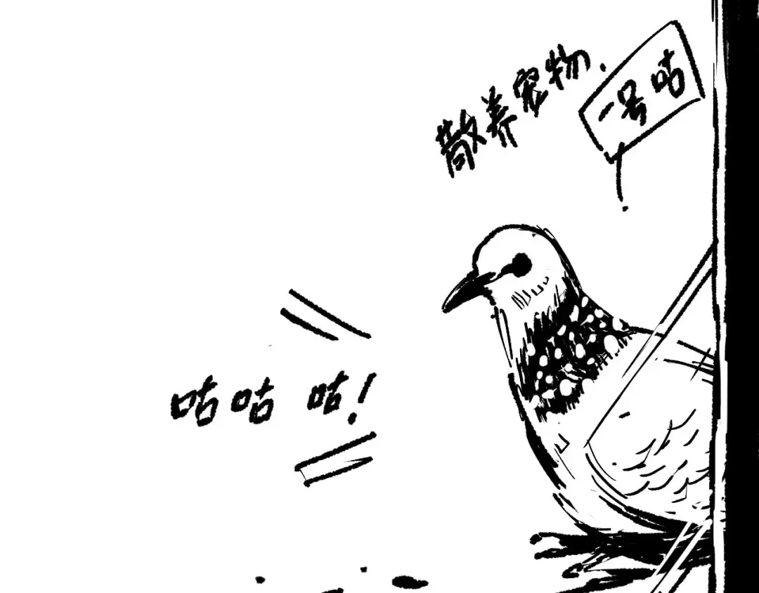 第468页