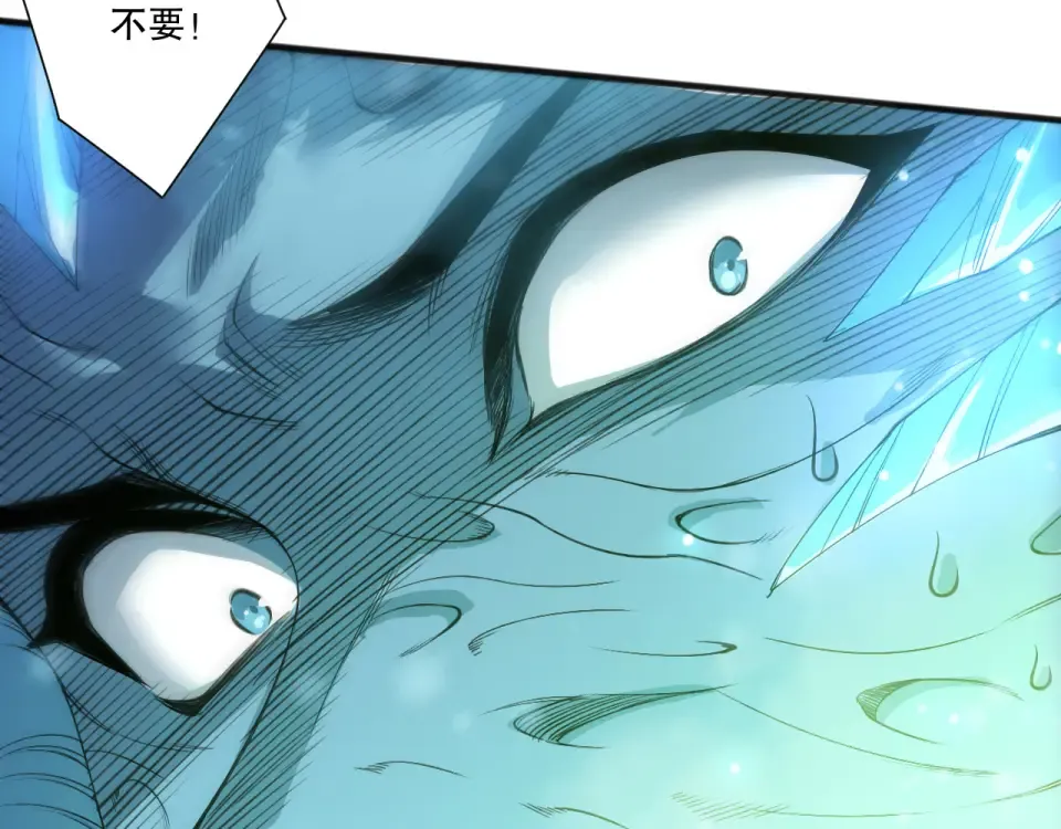 第447页