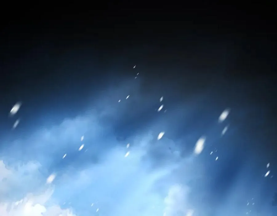 第291页