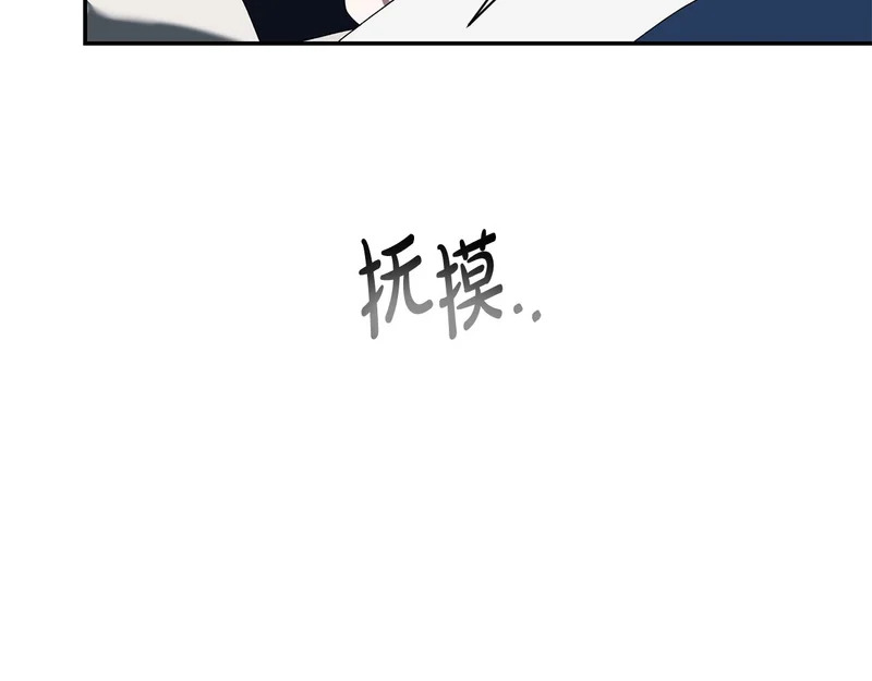 第219页