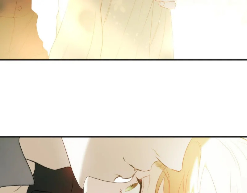 第375页