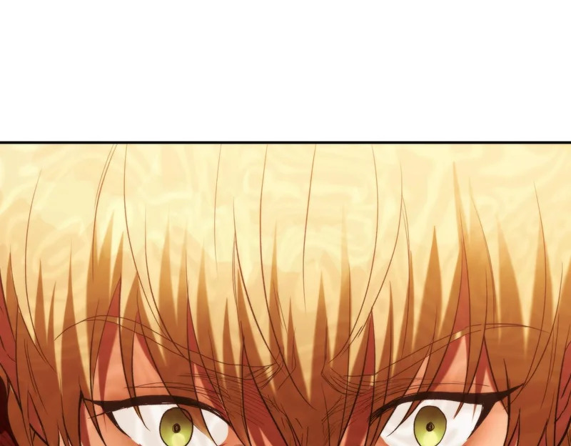 第246页