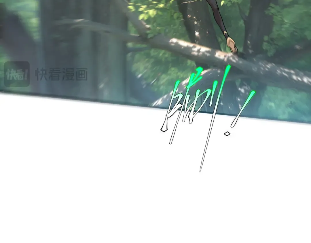 第528页