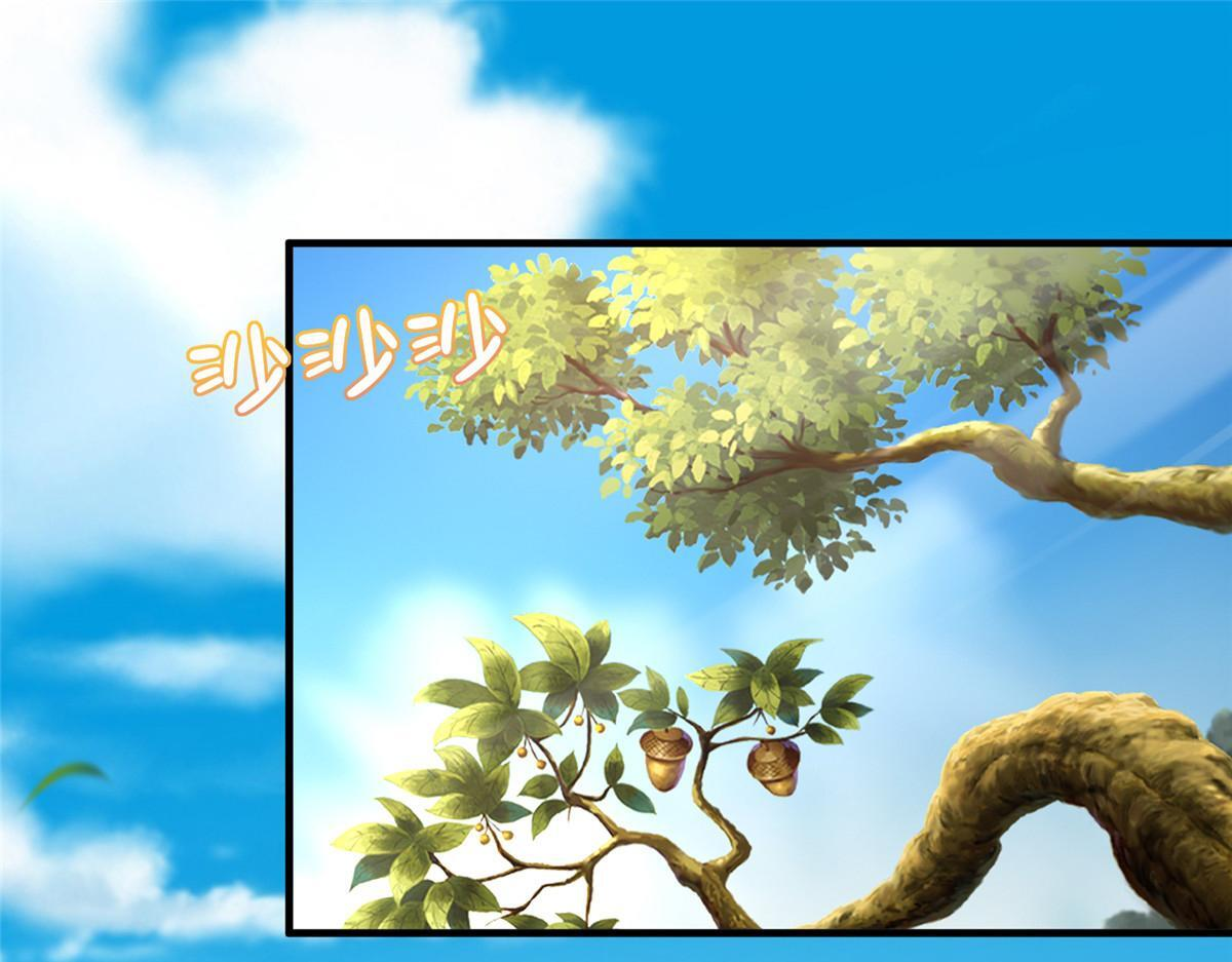 第216页