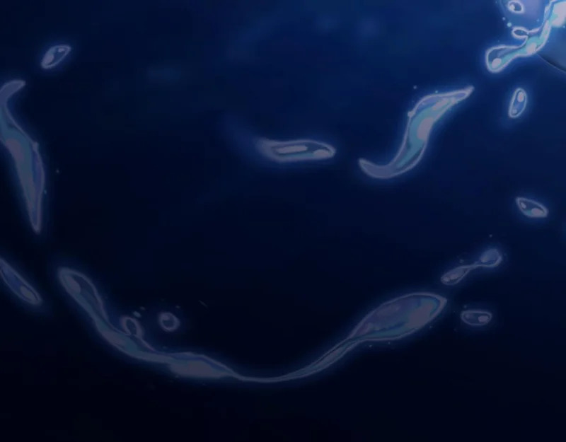 第324页