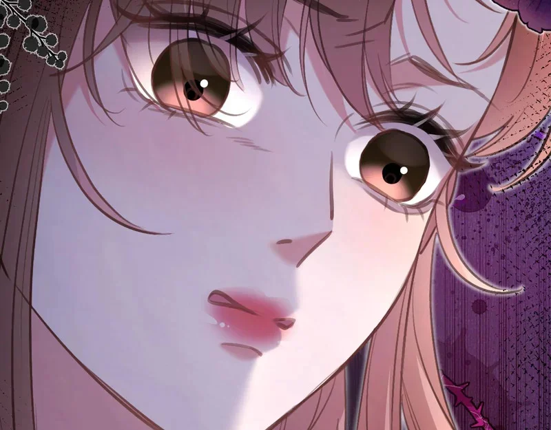 第258页
