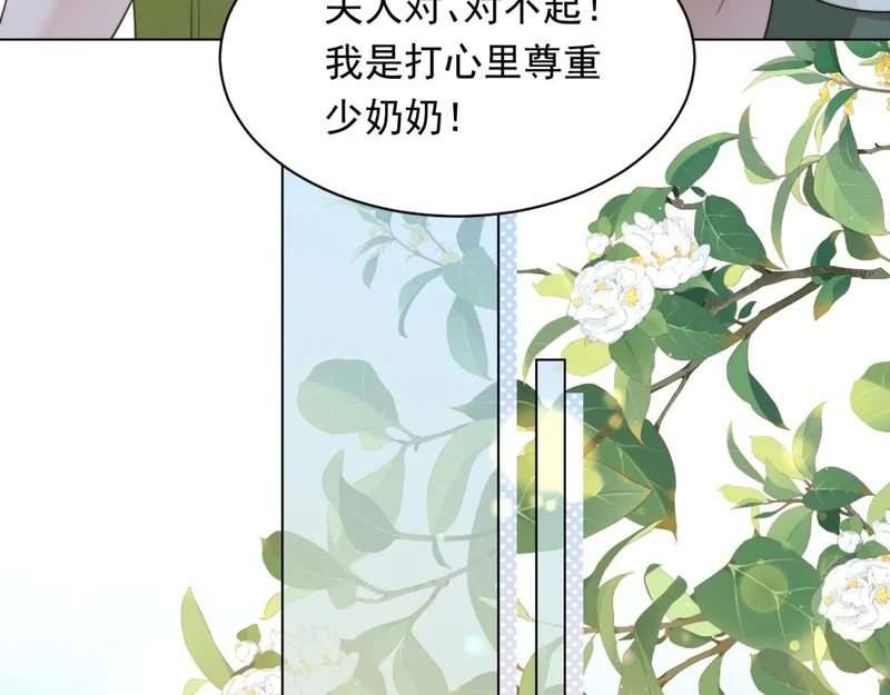 第243页