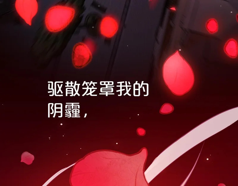 第240页