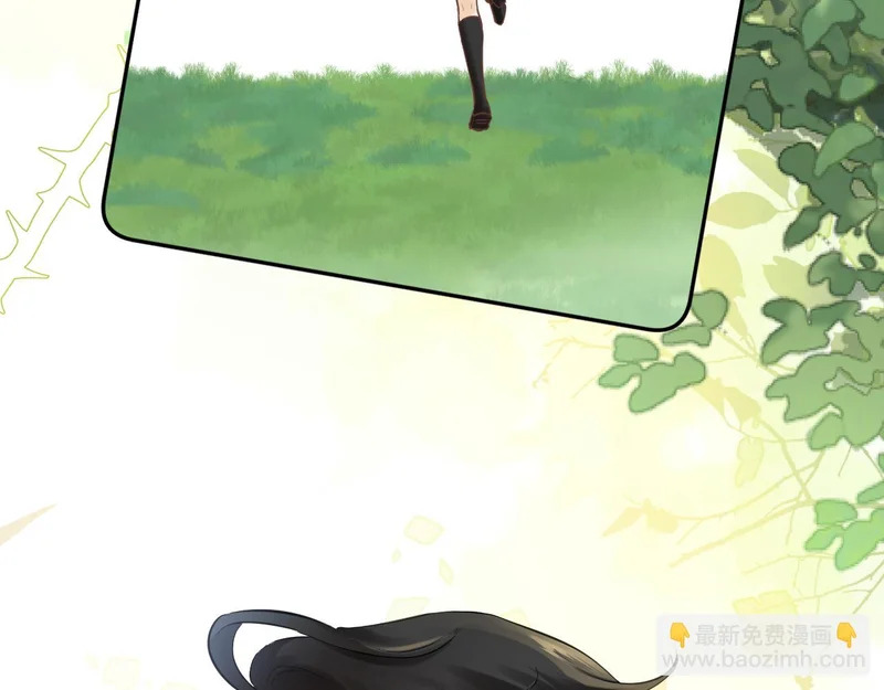 第213页