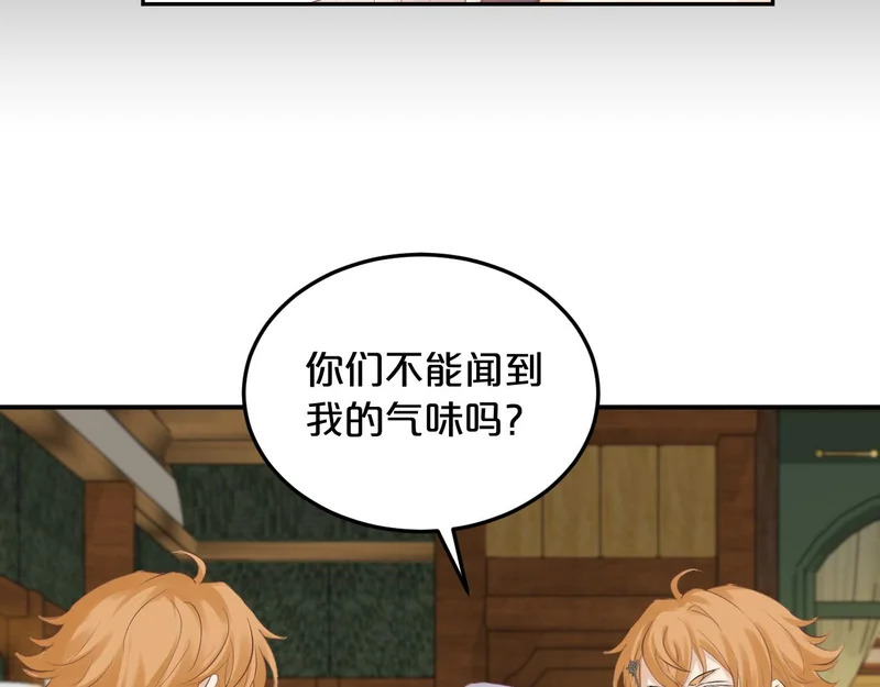 第204页