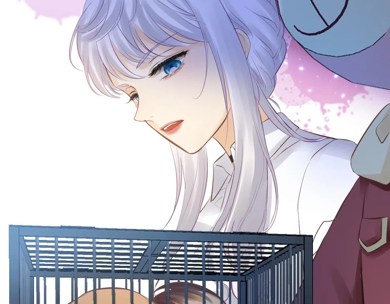 第204页