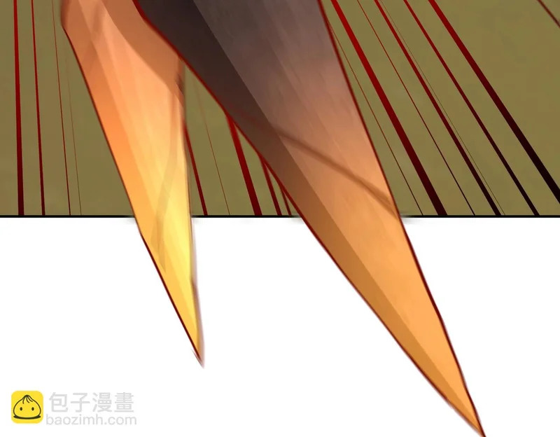 第234页