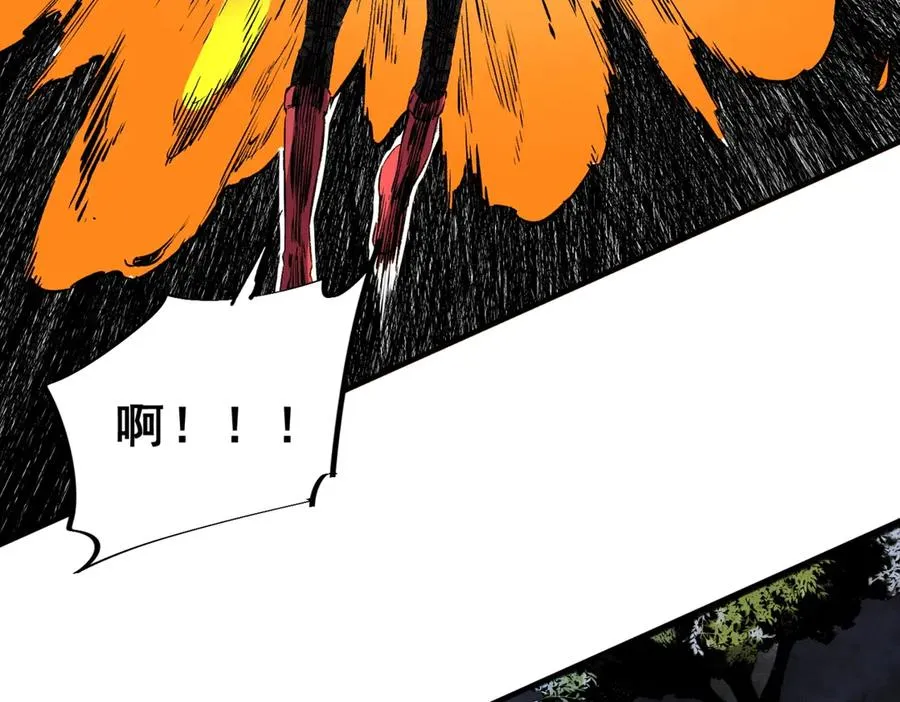 第426页