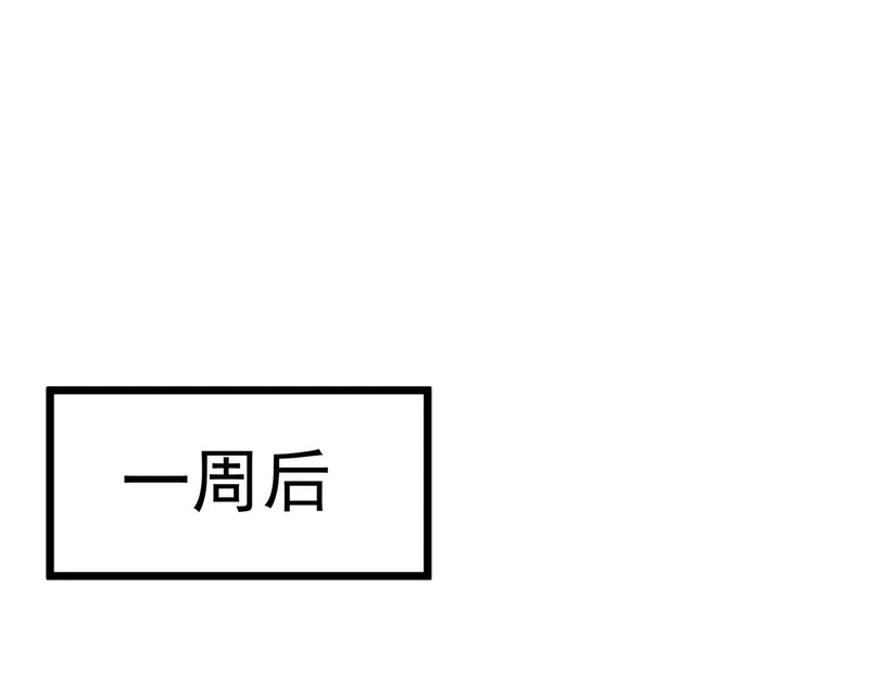 第264页