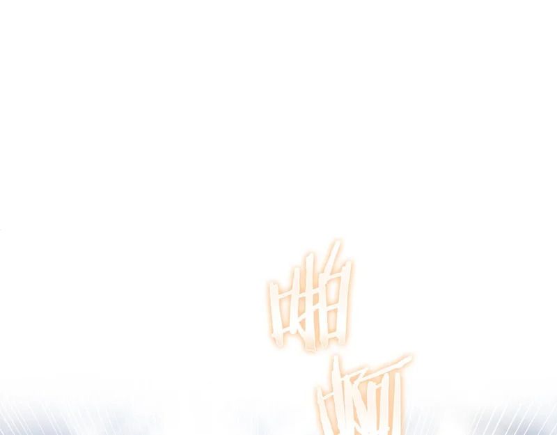 第255页