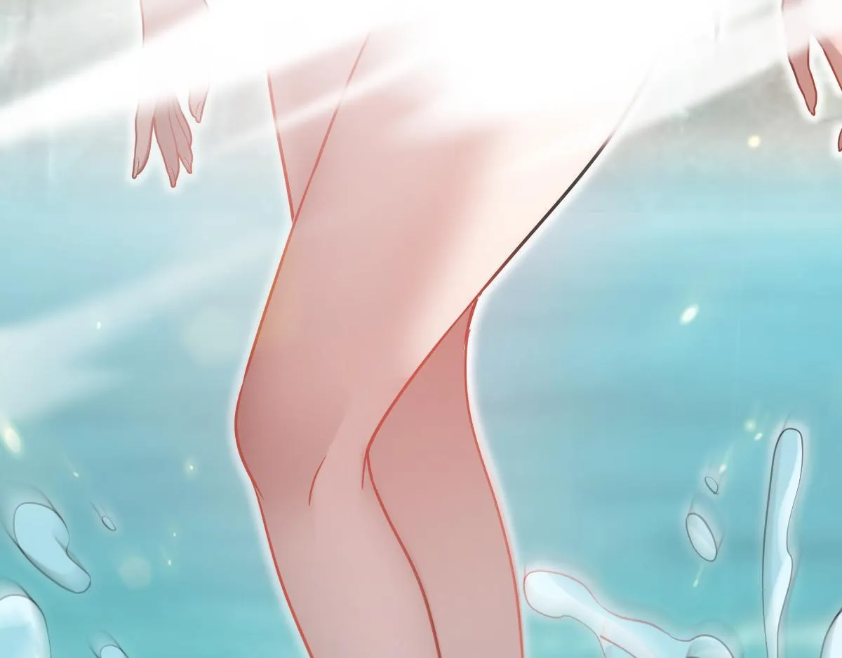 第528页