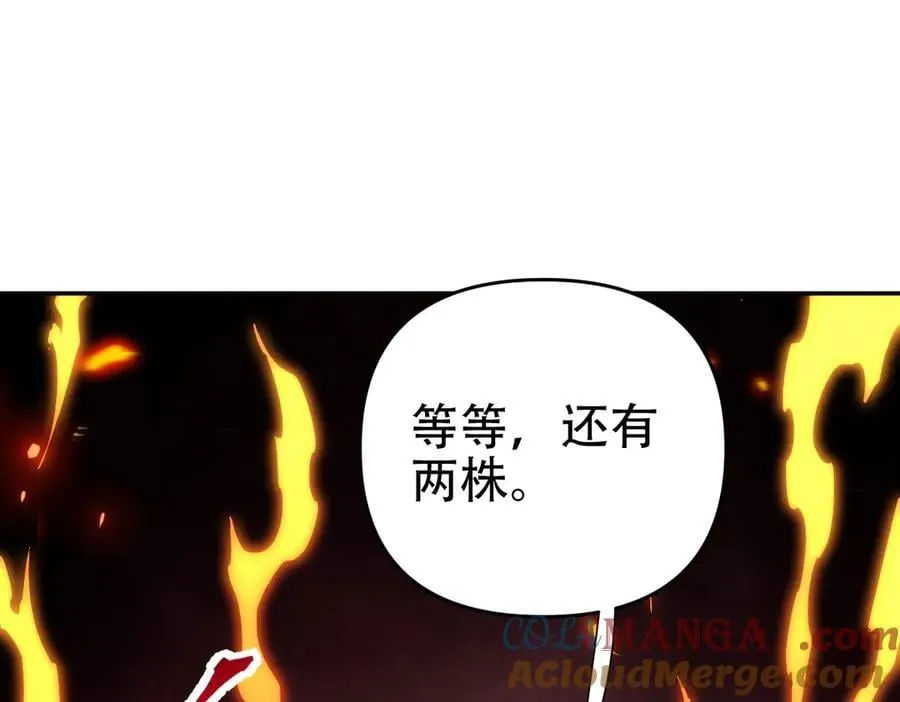 第384页