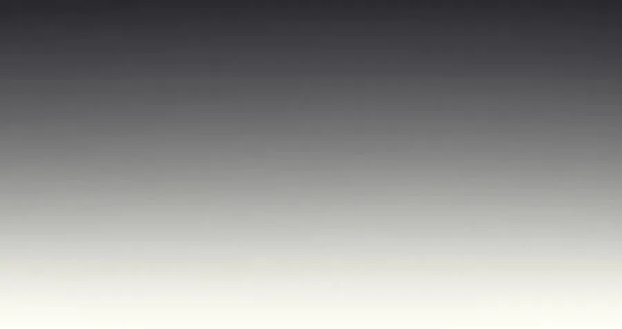第534页