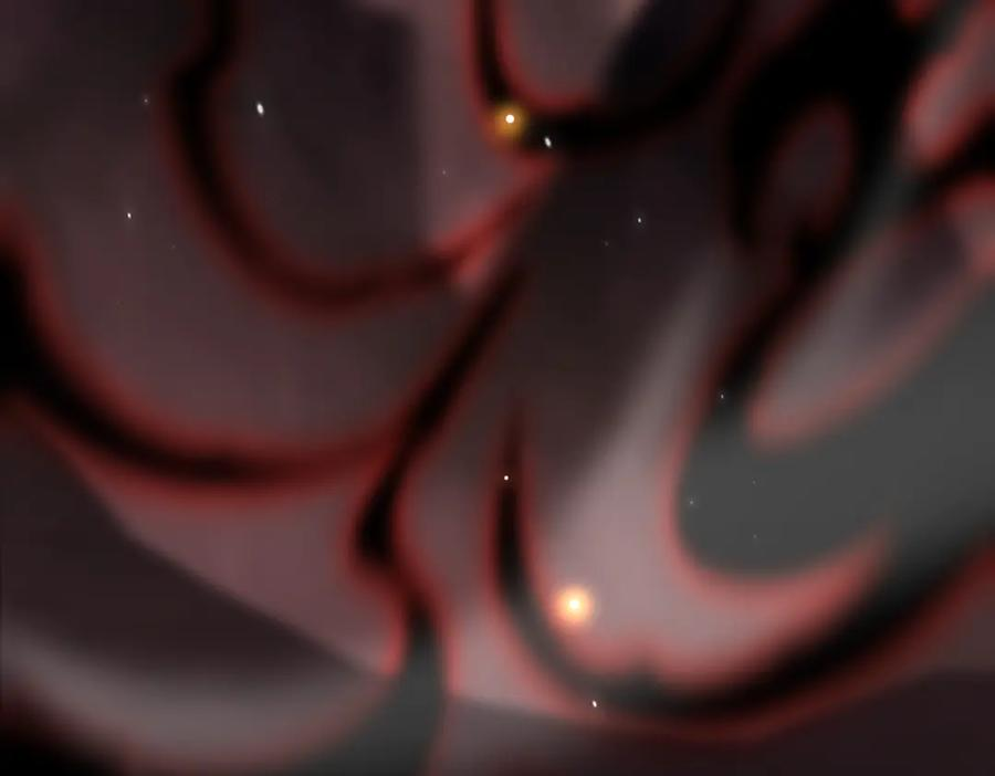 第495页