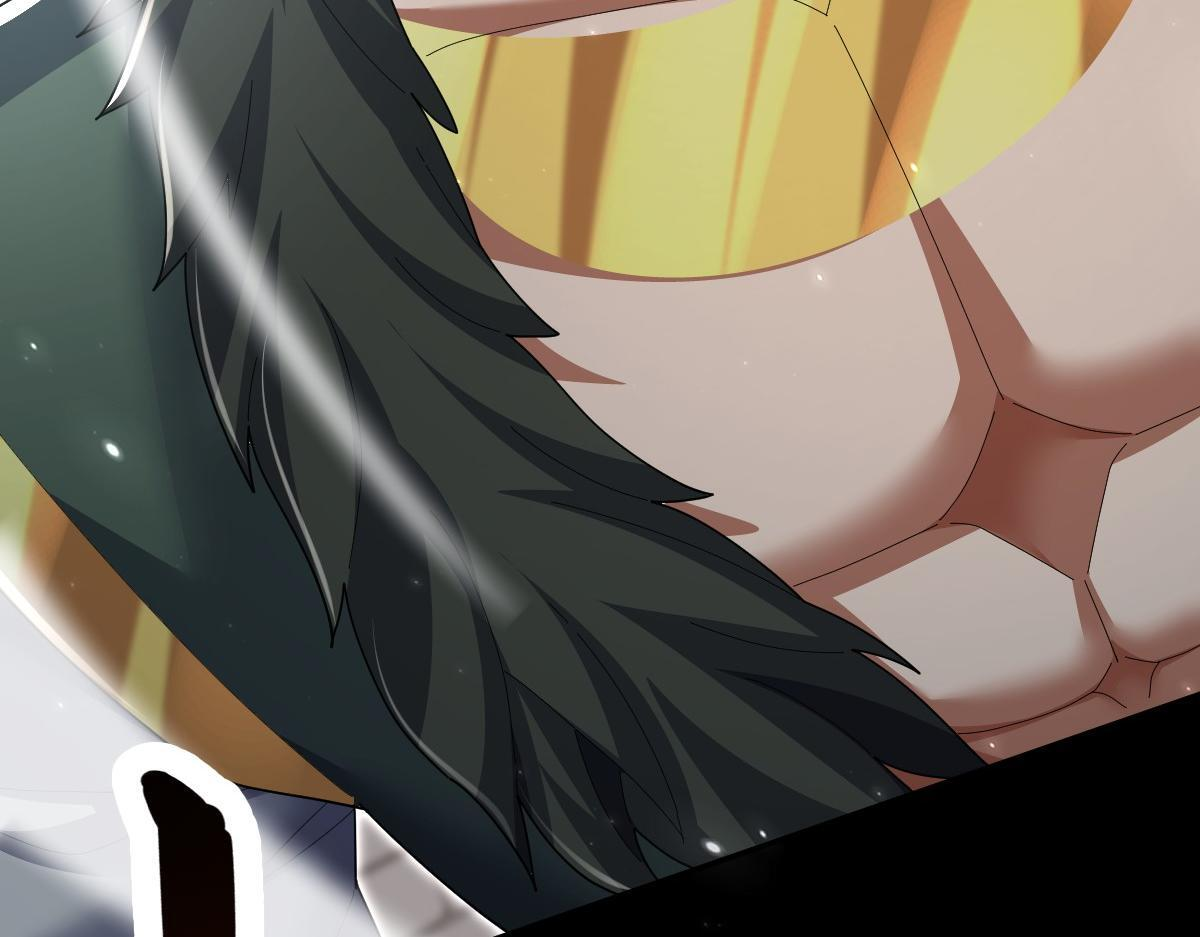 第204页