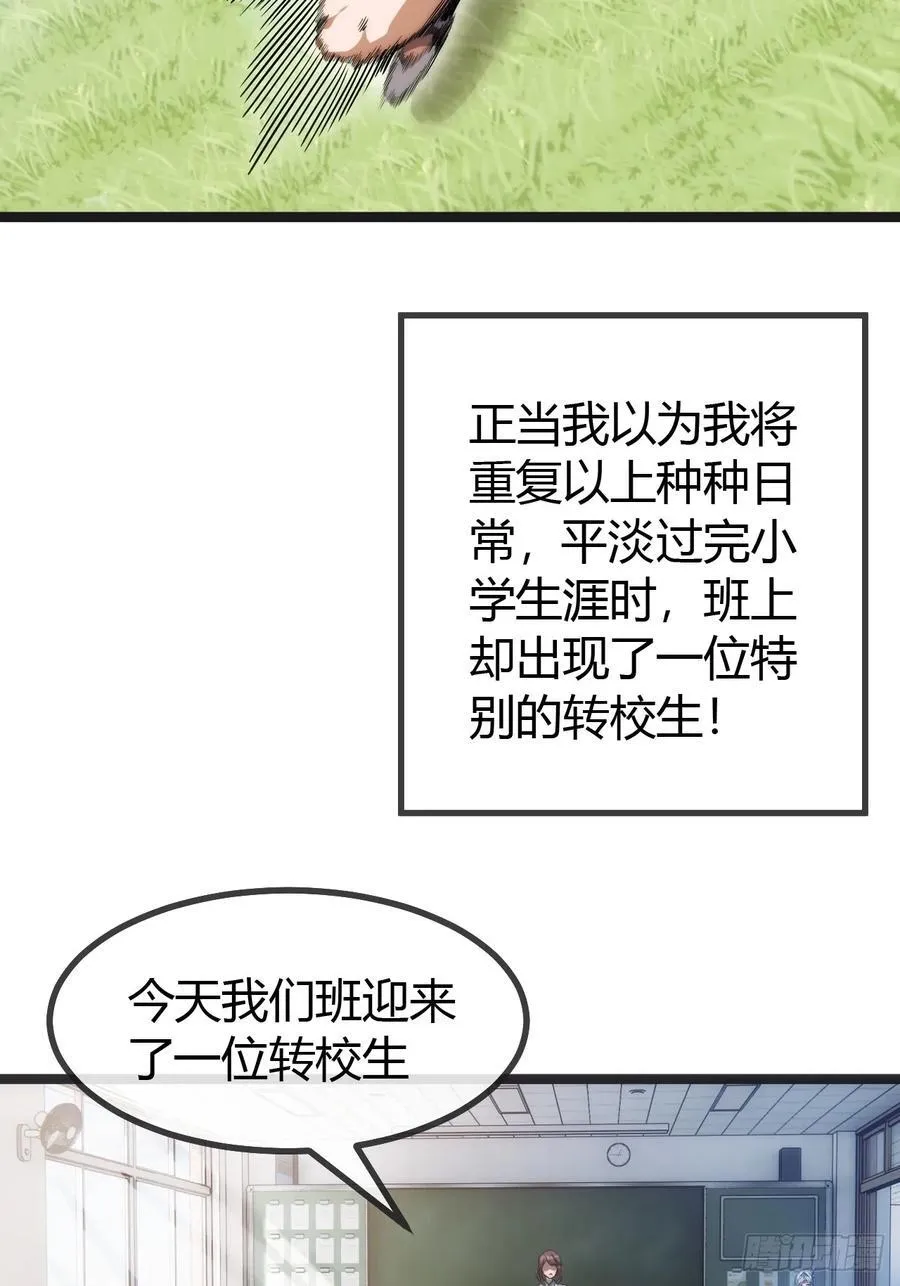 第417页