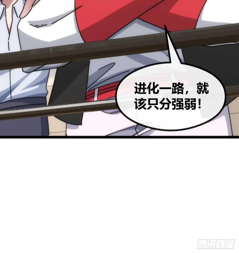 第228页