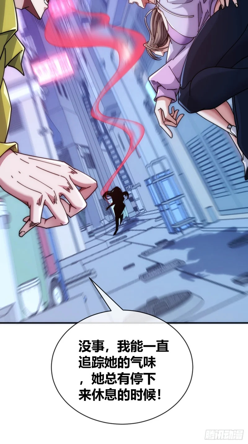 第240页