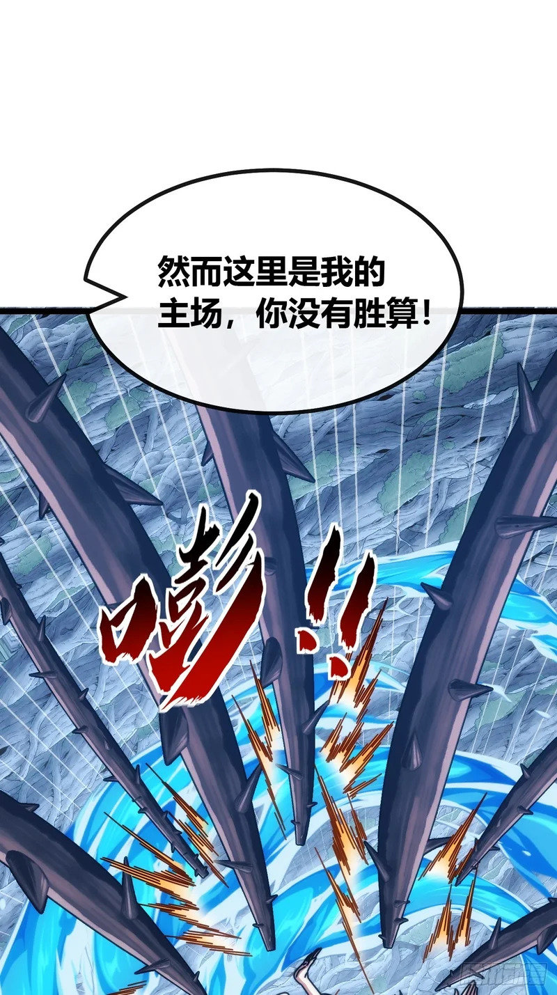 第204页