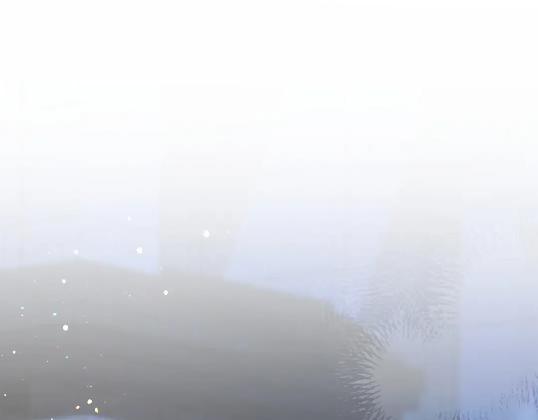 第219页