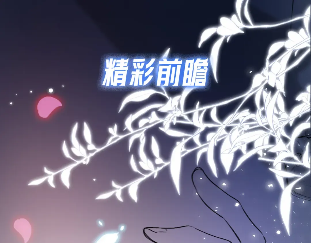 第243页
