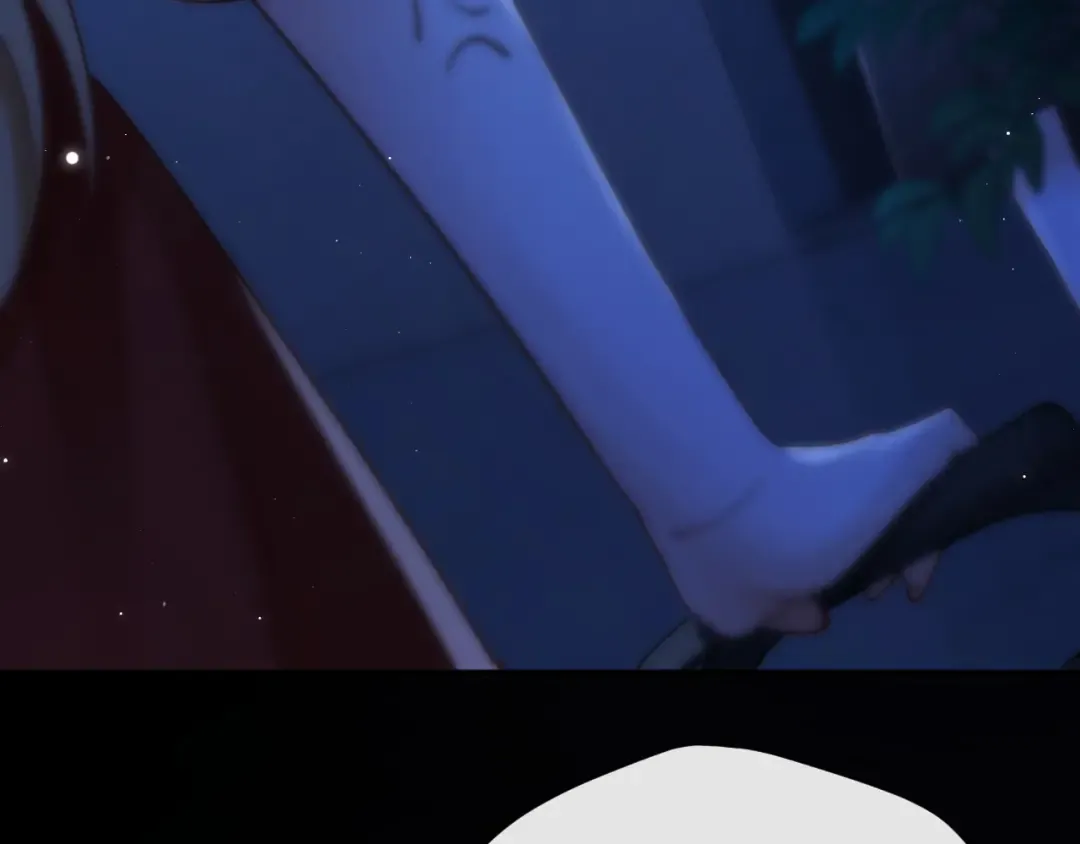 第204页