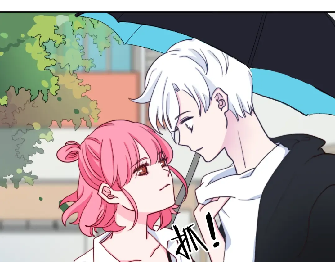 第204页