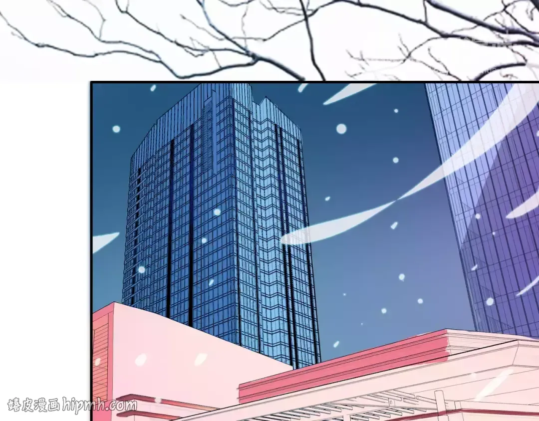第213页