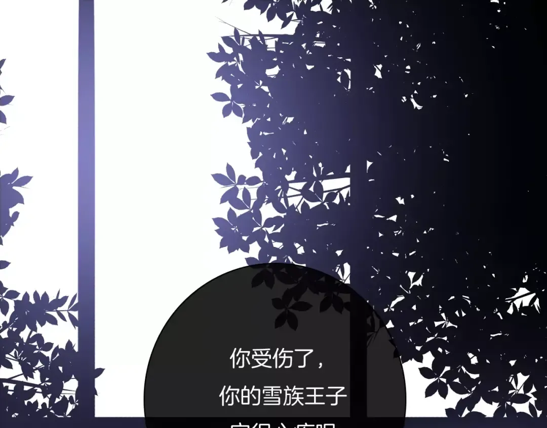 第210页