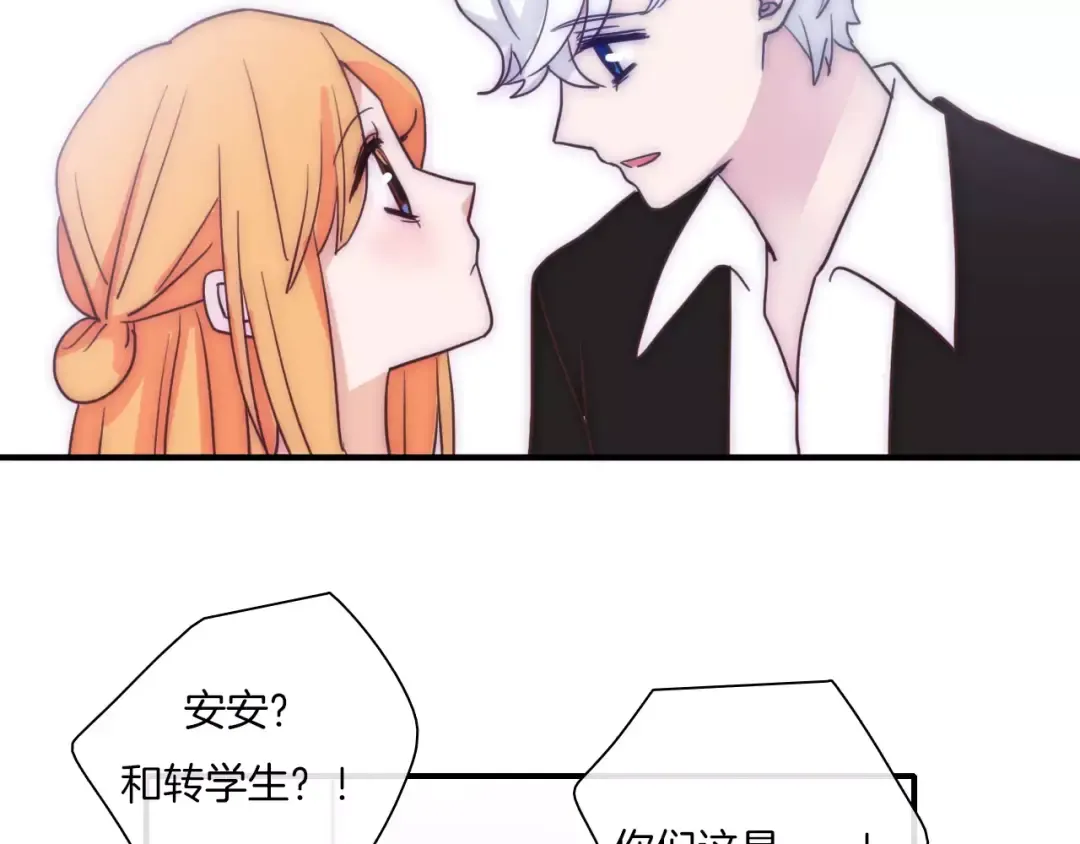 第204页