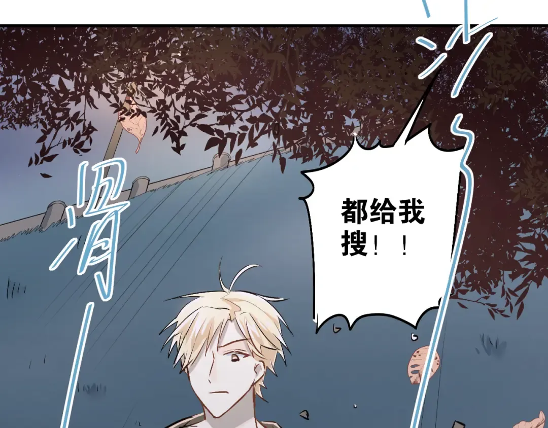 第195页