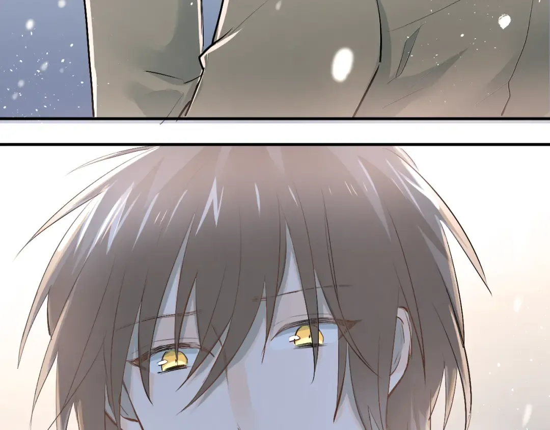 第243页