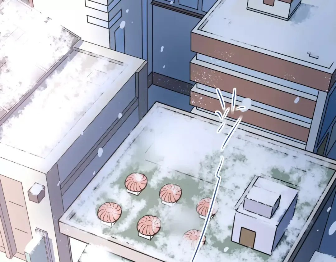 第204页