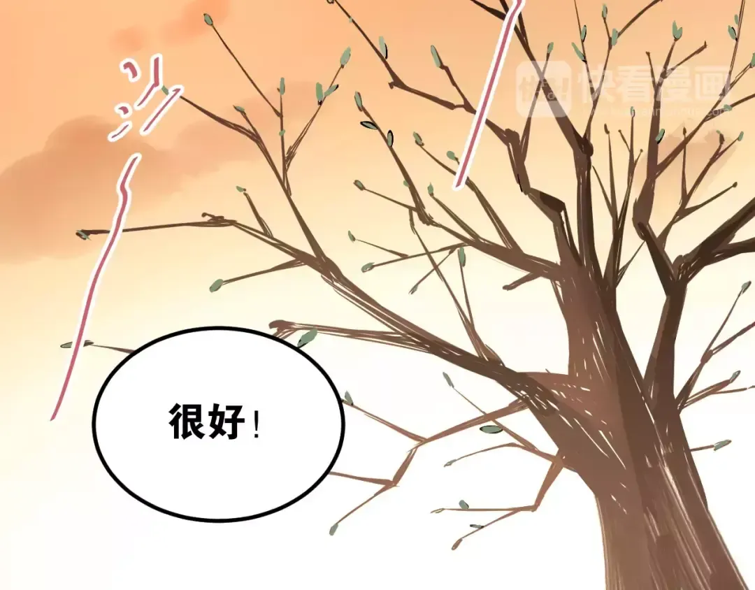第240页