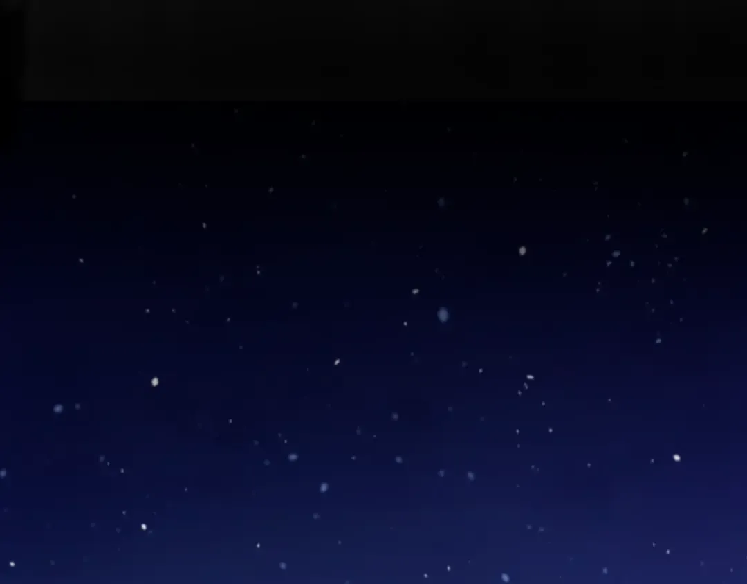 第228页