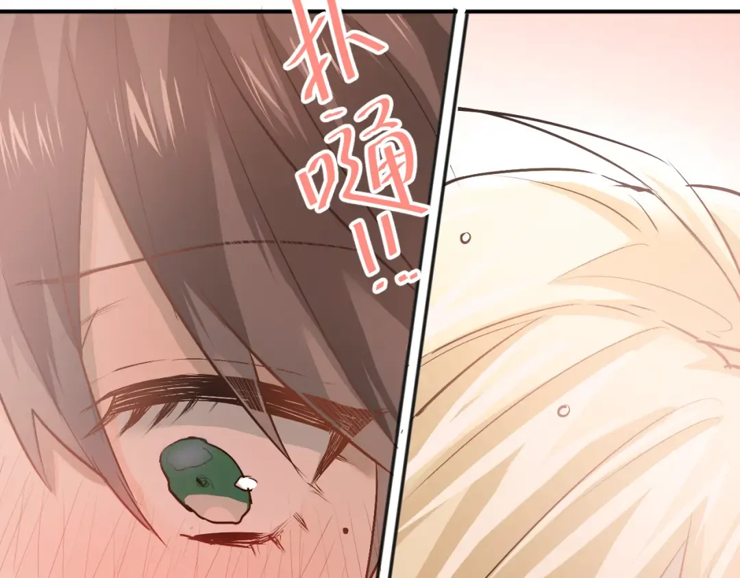 第204页