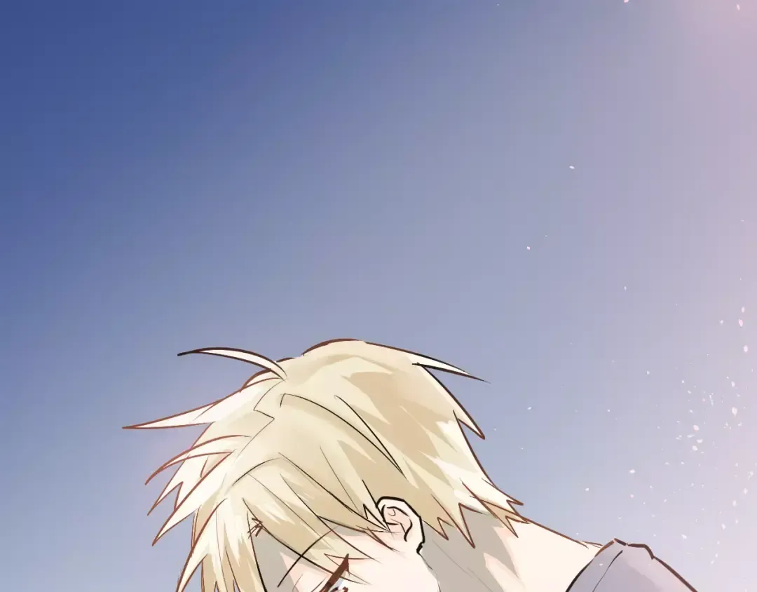 第243页