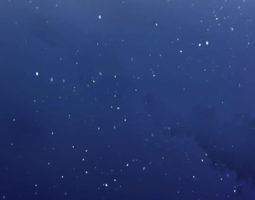 第219页