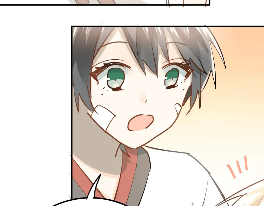 第219页