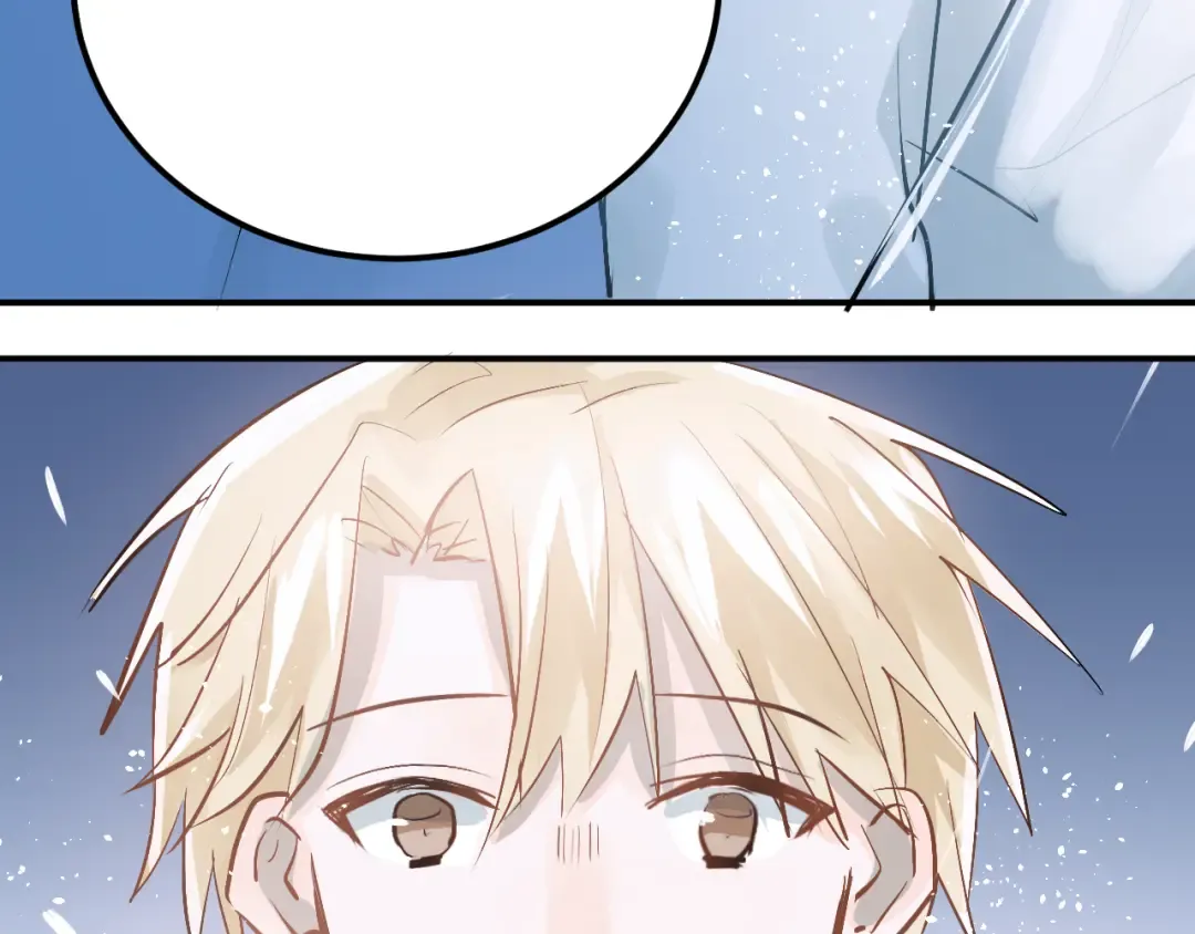 第291页