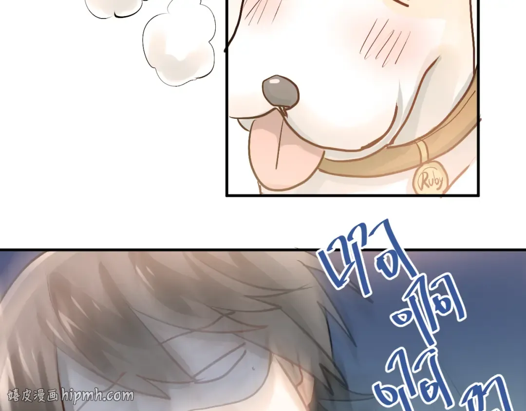 第117页