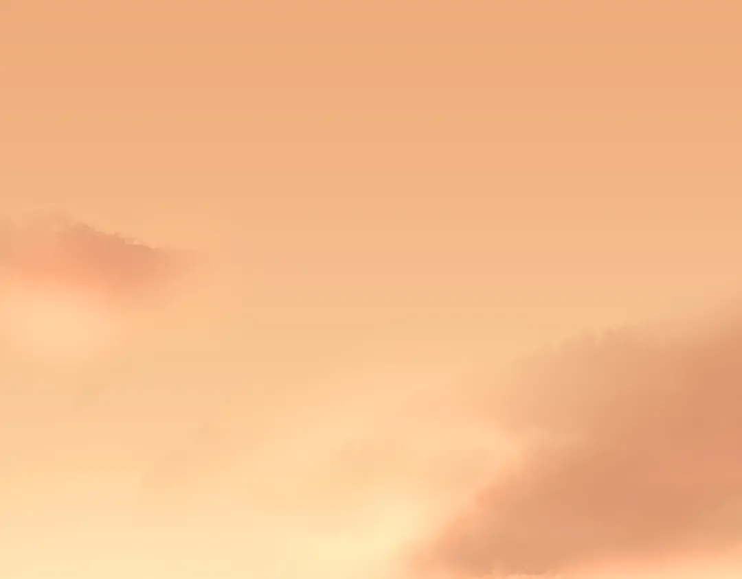 第246页