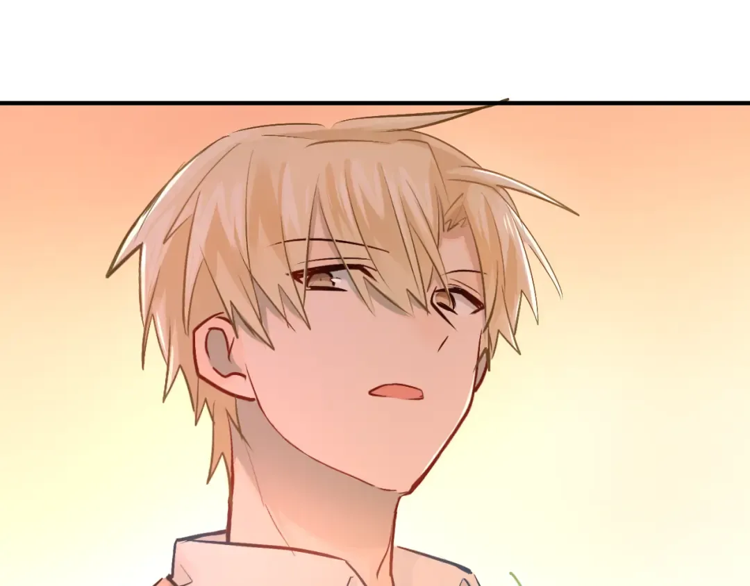 第267页